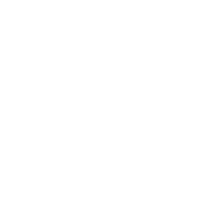 SEO Optimization
